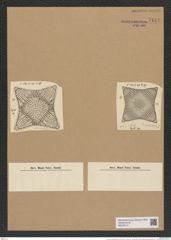 Triceratium biquadratum Jan. (de-Toni-Nr.: Genus 137, Species 3657) Zeichnungen Sammlung Grunow Nr. 7144 (NHMW-BOT-W0376114)